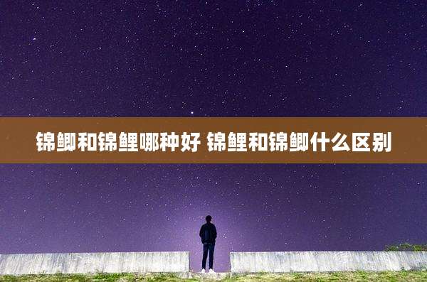 锦鲫和锦鲤哪种好 锦鲤和锦鲫什么区别