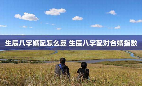 生辰八字婚配怎么算 生辰八字配对合婚指数