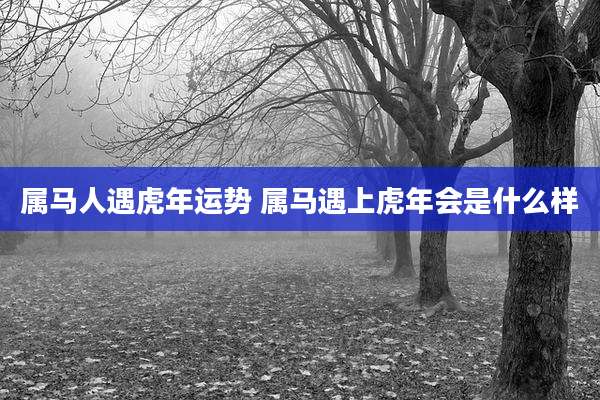 属马人遇虎年运势 属马遇上虎年会是什么样