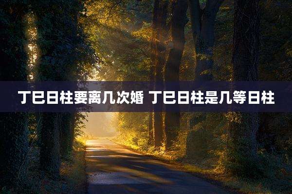 丁巳日柱要离几次婚 丁巳日柱是几等日柱