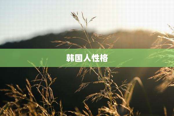 韩国人性格