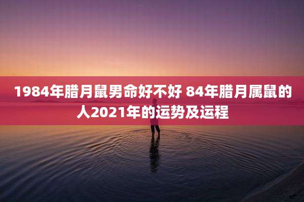 1984年腊月鼠男命好不好 84年腊月属鼠的人2021年的运势及运程