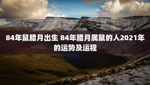 84年鼠腊月出生 84年腊月属鼠的人2021年的运势及运程