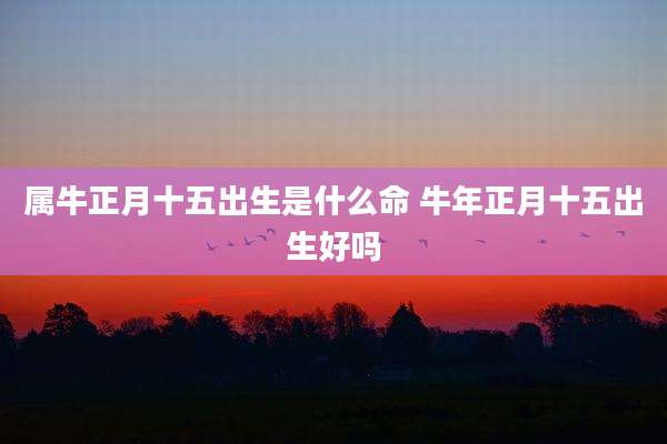 属牛正月十五出生是什么命 牛年正月十五出生好吗