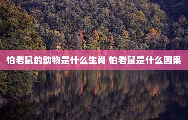 怕老鼠的动物是什么生肖 怕老鼠是什么因果