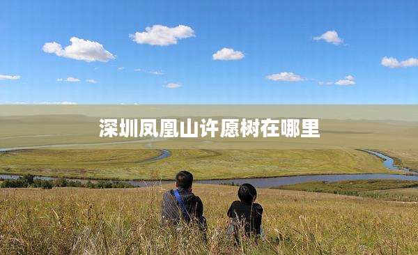 深圳凤凰山许愿树在哪里