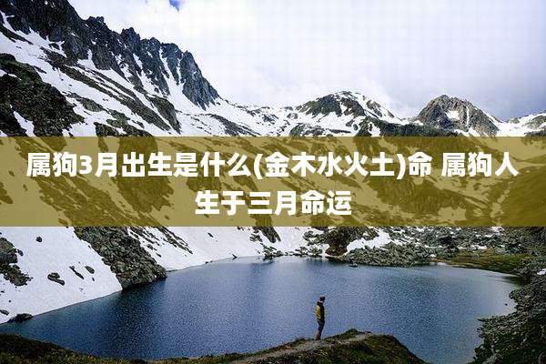 属狗3月出生是什么(金木水火土)命 属狗人生于三月命运