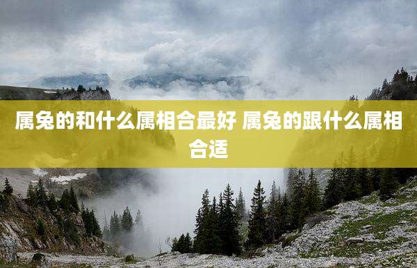 属兔的和什么属相合最好 属兔的跟什么属相合适