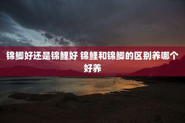 锦鲫好还是锦鲤好 锦鲤和锦鲫的区别养哪个好养