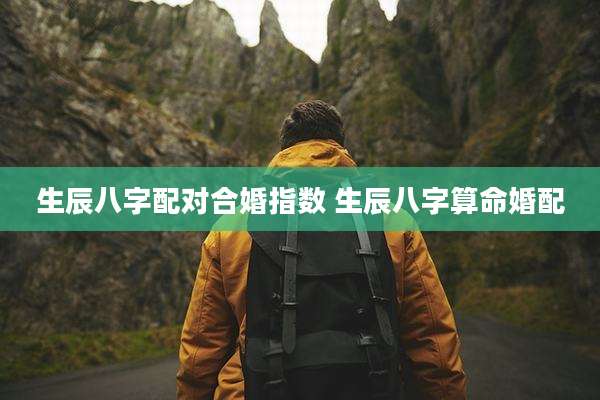 生辰八字配对合婚指数 生辰八字算命婚配