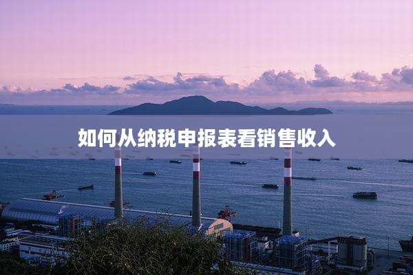 如何从纳税申报表看销售收入