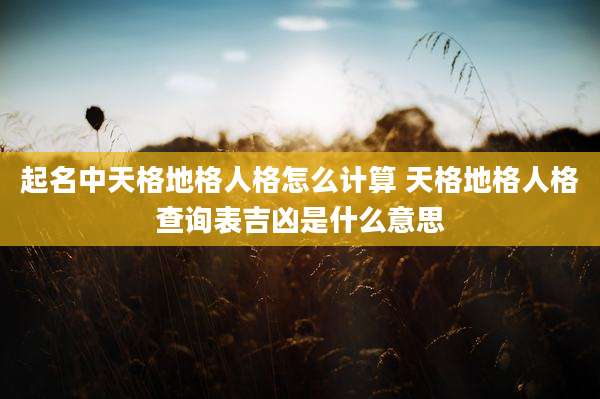 起名中天格地格人格怎么计算 天格地格人格查询表吉凶是什么意思
