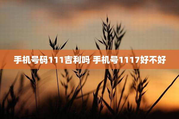 手机号码111吉利吗 手机号1117好不好