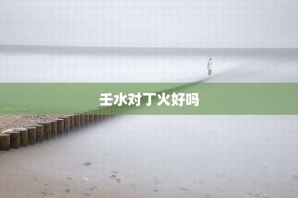 壬水对丁火好吗