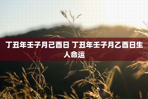 丁丑年壬子月己酉日 丁丑年壬子月乙酉日生人命运