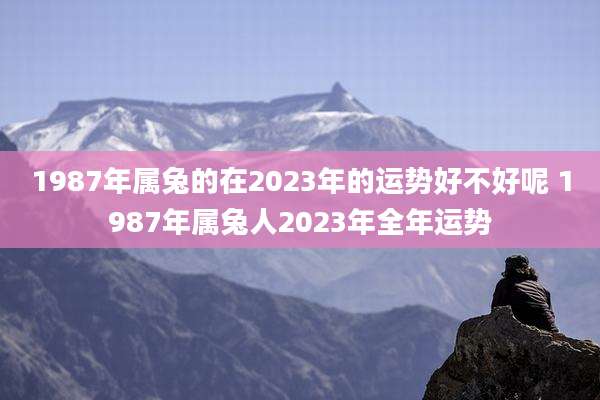 1987年属兔的在2023年的运势好不好呢 1987年属兔人2023年全年运势