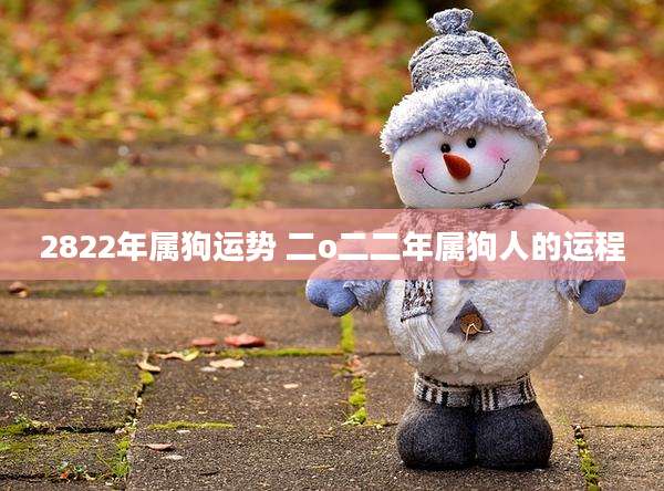 2822年属狗运势 二o二二年属狗人的运程
