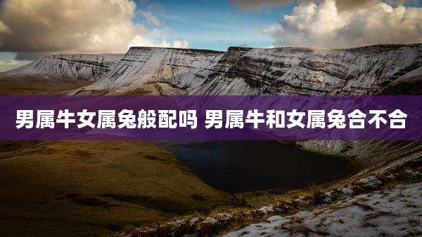 男属牛女属兔般配吗 男属牛和女属兔合不合