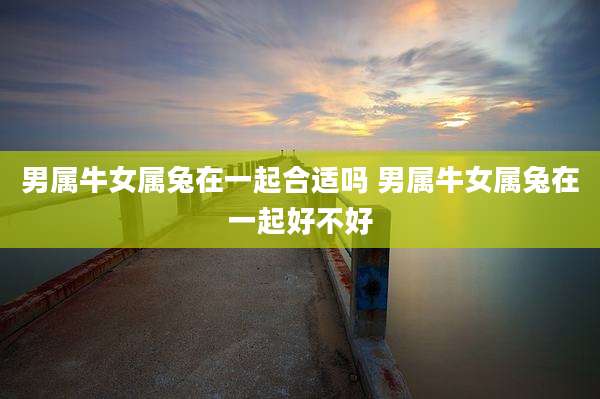 男属牛女属兔在一起合适吗 男属牛女属兔在一起好不好