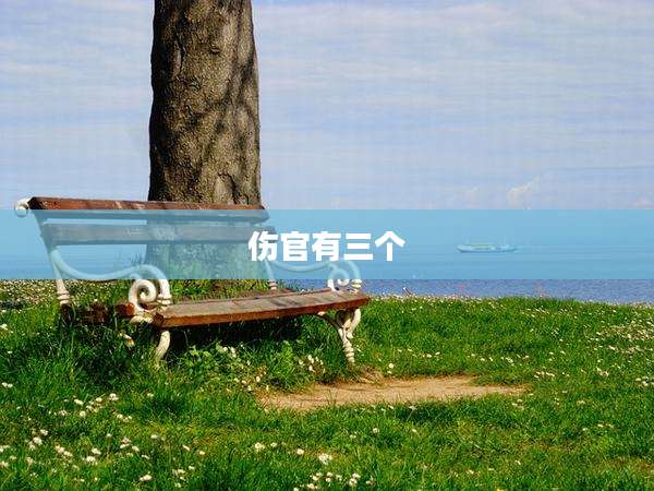 伤官有三个