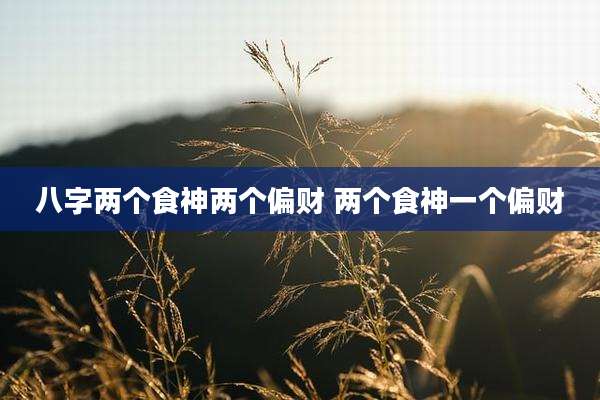 八字两个食神两个偏财 两个食神一个偏财