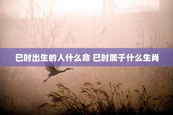 巳时出生的人什么命 巳时属于什么生肖