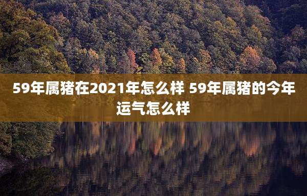 59年属猪在2021年怎么样 59年属猪的今年运气怎么样