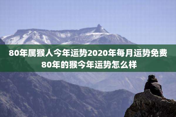 80年属猴人今年运势2020年每月运势免费 80年的猴今年运势怎么样