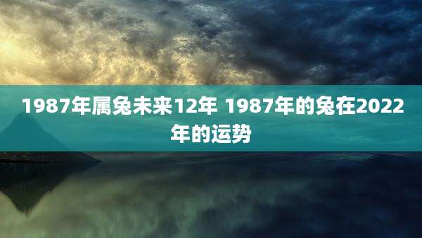 1987年属兔未来12年 1987年的兔在2022年的运势