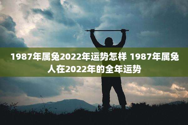 1987年属兔2022年运势怎样 1987年属兔人在2022年的全年运势