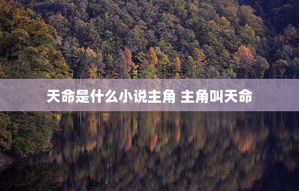 天命是什么小说主角 主角叫天命
