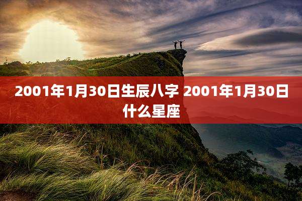 2001年1月30日生辰八字 2001年1月30日什么星座