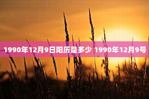 1990年12月9日阳历是多少 1990年12月9号