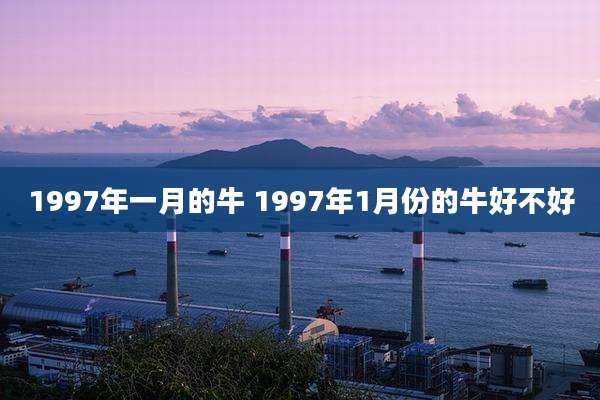 1997年一月的牛 1997年1月份的牛好不好
