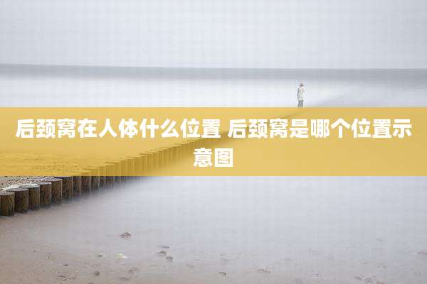 后颈窝在人体什么位置 后颈窝是哪个位置示意图