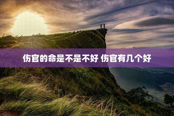 伤官的命是不是不好 伤官有几个好