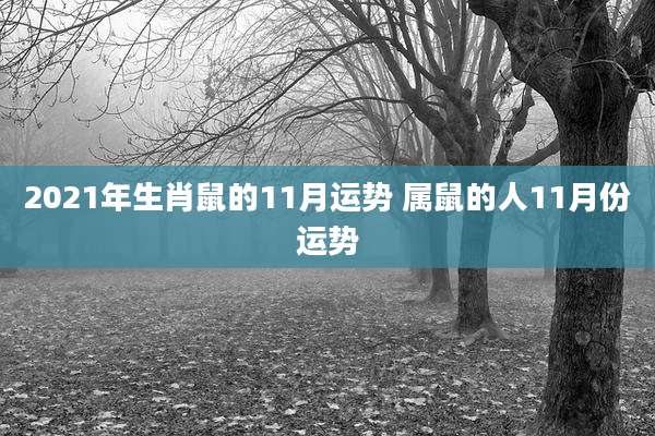 2021年生肖鼠的11月运势 属鼠的人11月份运势