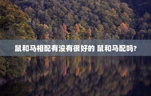 鼠和马相配有没有很好的 鼠和马配吗?