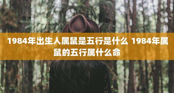 1984年出生人属鼠是五行是什么 1984年属鼠的五行属什么命