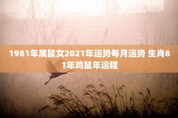 1981年属鼠女2021年运势每月运势 生肖81年鸡鼠年运程