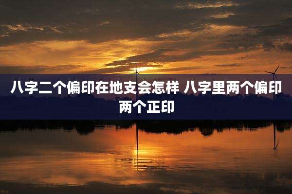八字二个偏印在地支会怎样 八字里两个偏印两个正印