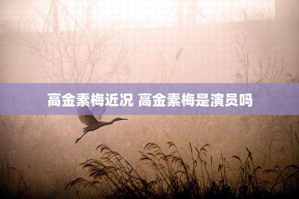 高金素梅近况 高金素梅是演员吗