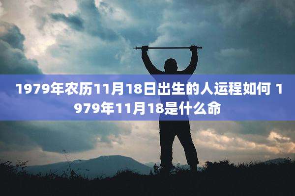 1979年农历11月18日出生的人运程如何 1979年11月18是什么命