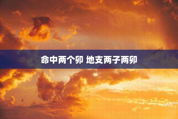 命中两个卯 地支两子两卯