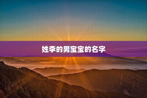 姓李的男宝宝的名字