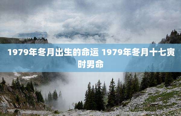 1979年冬月出生的命运 1979年冬月十七寅时男命