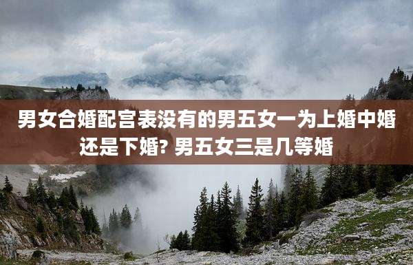 男女合婚配宫表没有的男五女一为上婚中婚还是下婚? 男五女三是几等婚