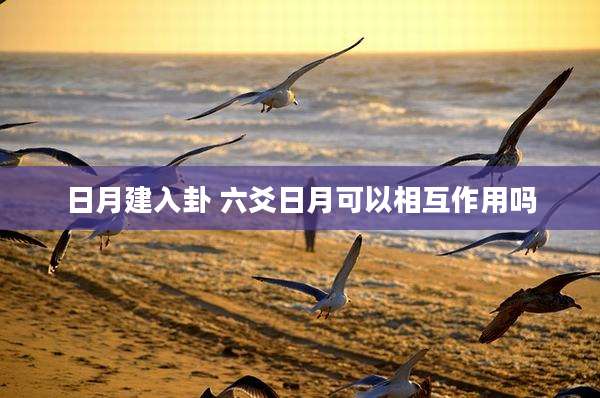 日月建入卦 六爻日月可以相互作用吗