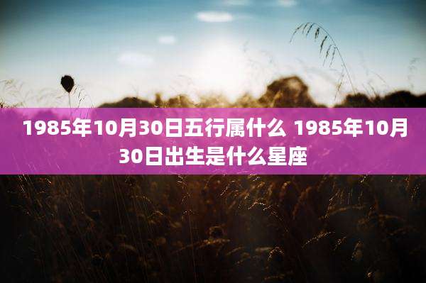 1985年10月30日五行属什么 1985年10月30日出生是什么星座