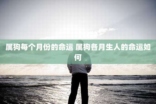 属狗每个月份的命运 属狗各月生人的命运如何